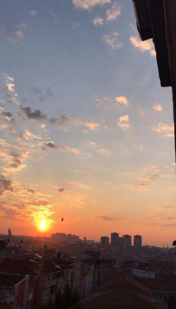 Glowing sunset over urban skyline with wispy clouds bird and golden light city rooftop wallpaper