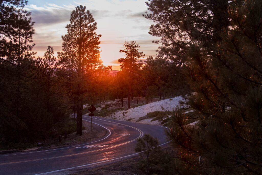 Winding forest road at sunset with golden light reflecting off asphalt in tranquil nature scene Wallpaper