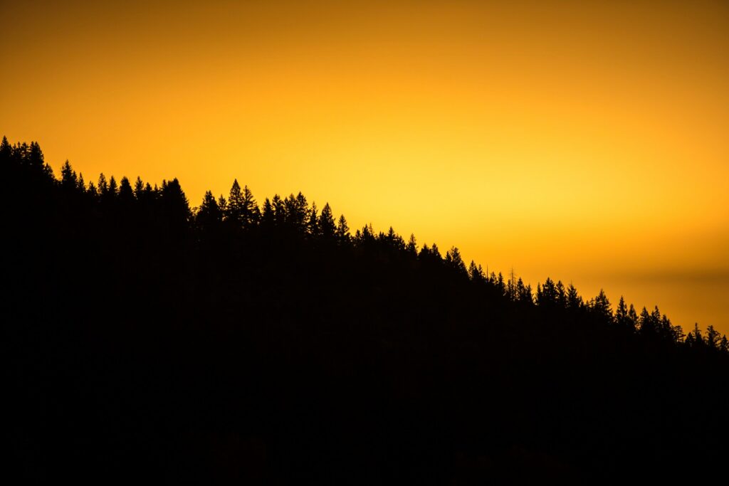 Forest silhouette at sunset with warm golden orange sky minimalist landscape wallpaper background