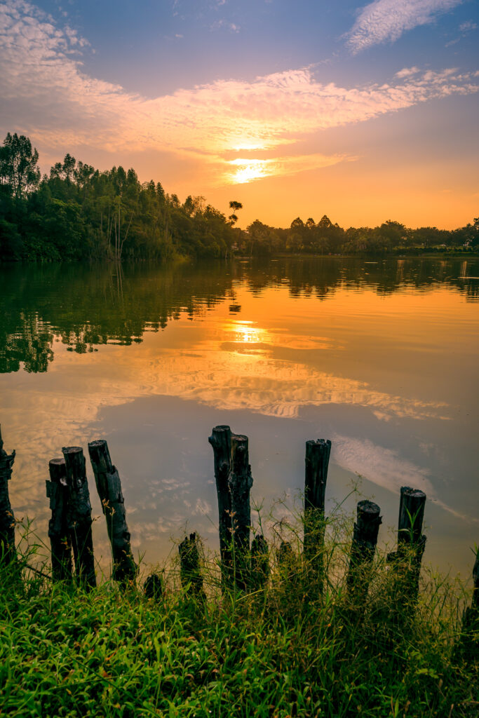 Sunset over calm lake with orange reflections silhouetted trees and wooden posts by grassy shore Wallpaper