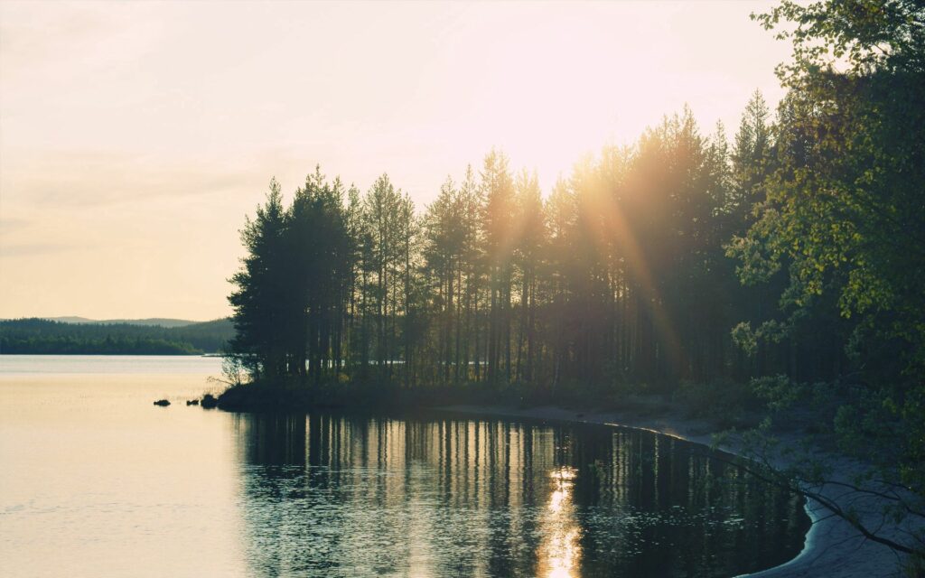 Tranquil lakeside with tall trees reflecting in calm water at sunset golden light wallpaper background