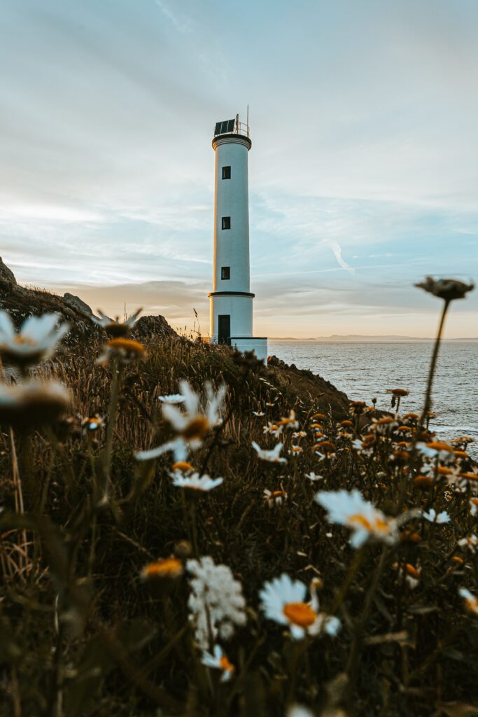 Tall white lighthouse on rugged coastal hill with wildflowers and golden sunlight by ocean Wallpaper