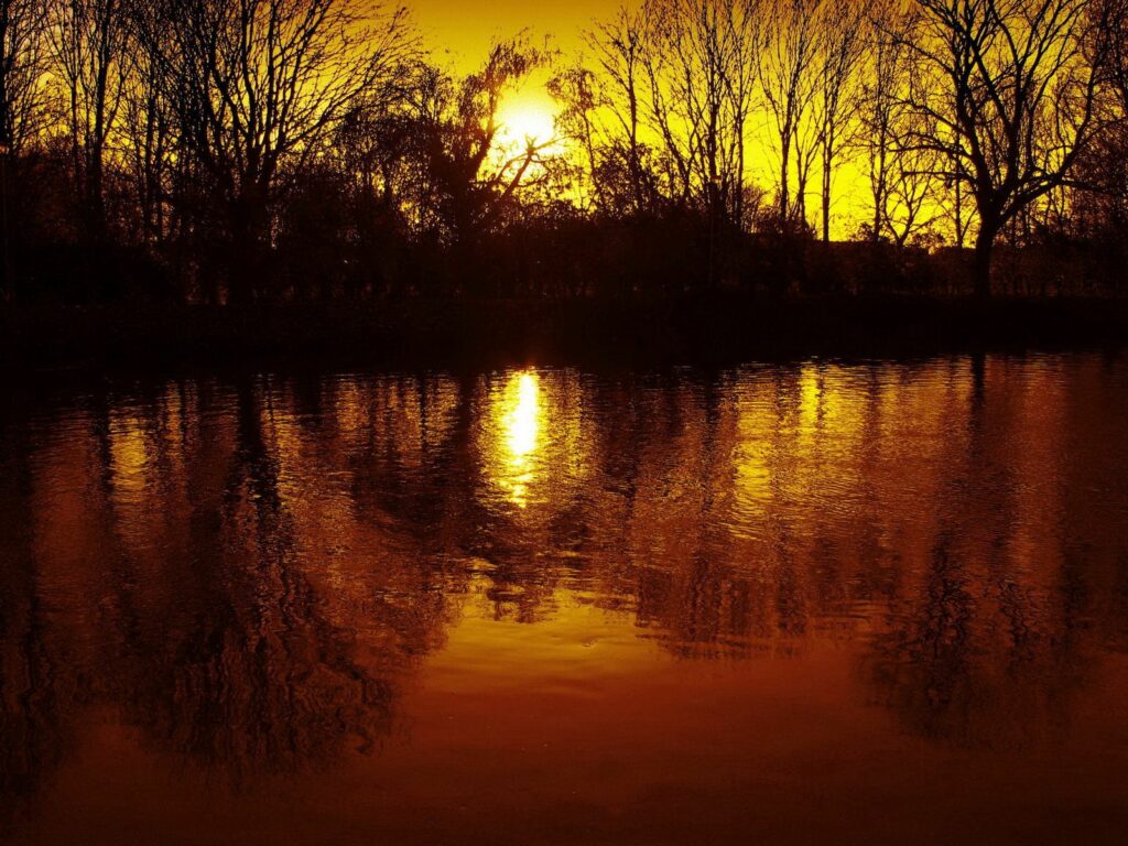 Sunset behind bare trees with golden sky reflecting on calm water peaceful wallpaper background