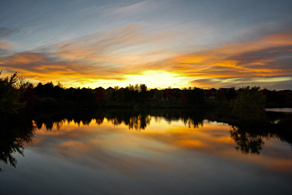 Golden sunset over calm lake with silhouetted trees and vibrant colorful sky wallpaper background