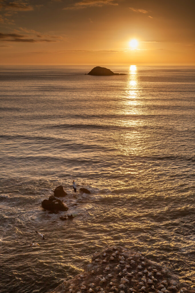 Golden sunset over calm ocean with seagulls on rocky shore and distant island horizon wallpaper