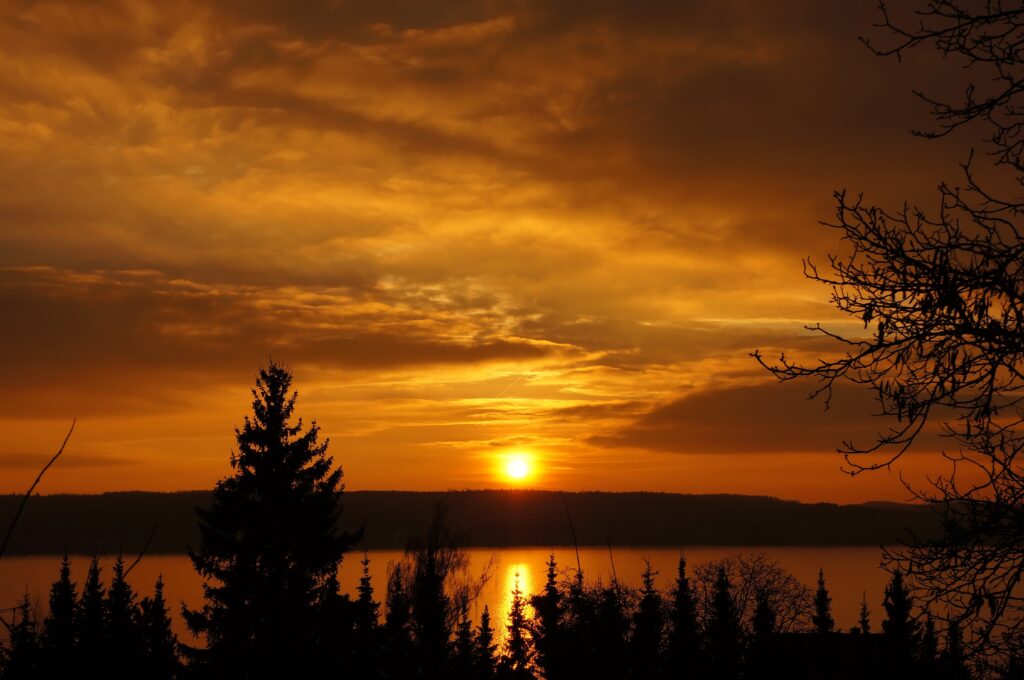 Golden sunset over calm river with silhouetted trees vibrant orange sky wallpaper background