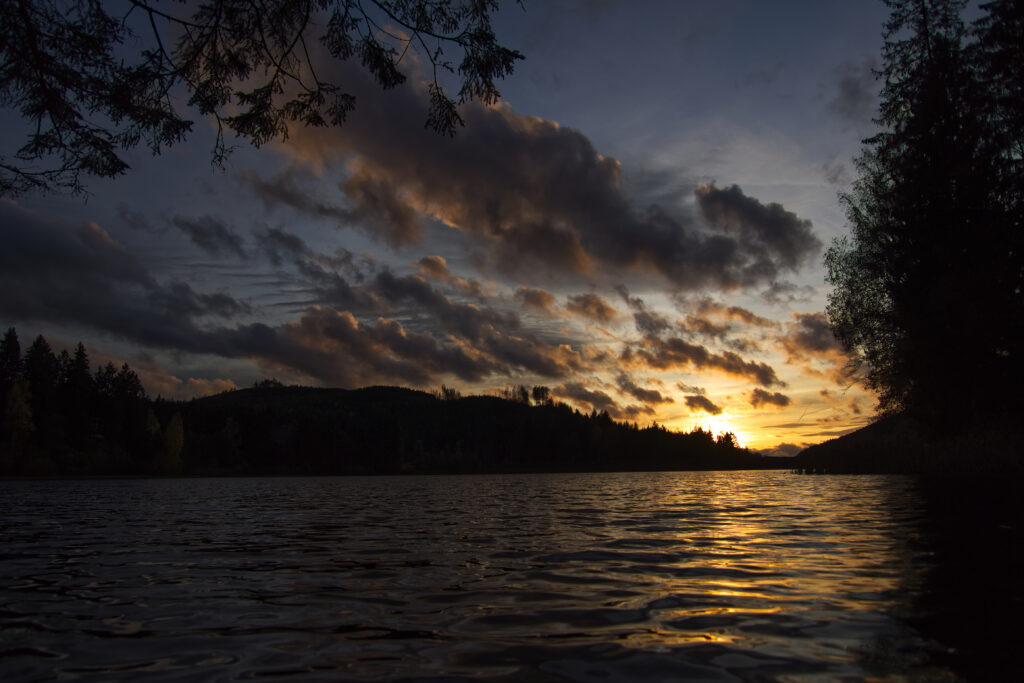 Sunset over calm river with golden light rippling water and silhouetted trees wallpaper background