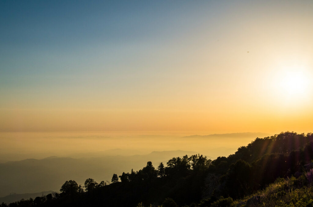 Golden sunset over misty mountains with silhouetted trees and soft fog serene nature wallpaper