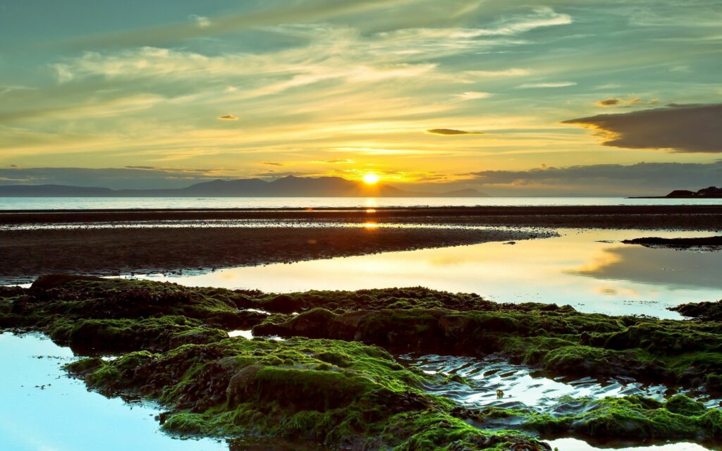 Serene sunset over mossy rocks with golden light and wispy clouds reflected on calm water background Wallpaper