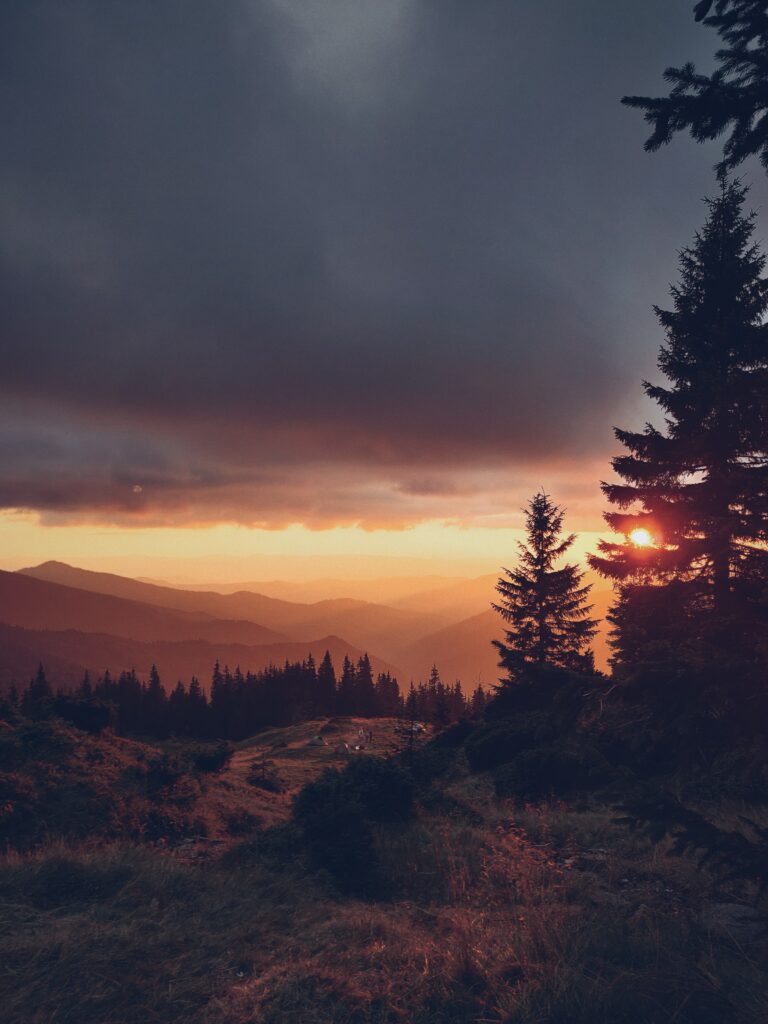 Golden sunset behind tall spruce trees with mountains and dramatic orange sky wallpaper background