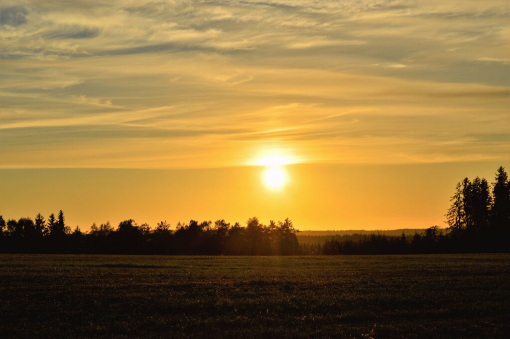 Golden sunset over open field with silhouetted trees and warm light on wispy clouds wallpaper