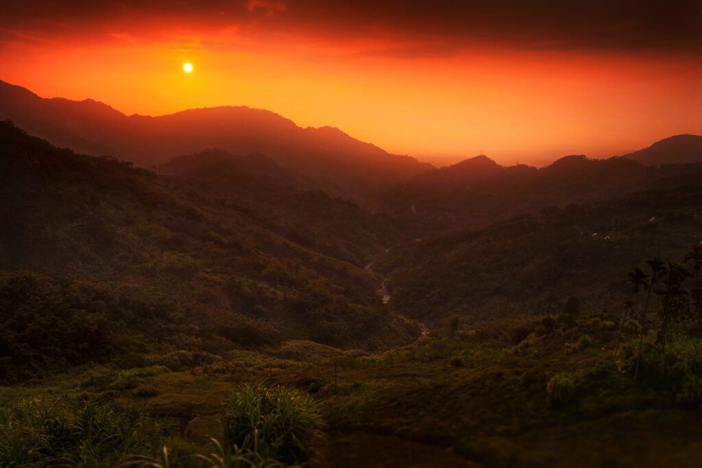 Golden sunset over rolling hills and lush bushes with warm orange and red tones landscape Wallpaper