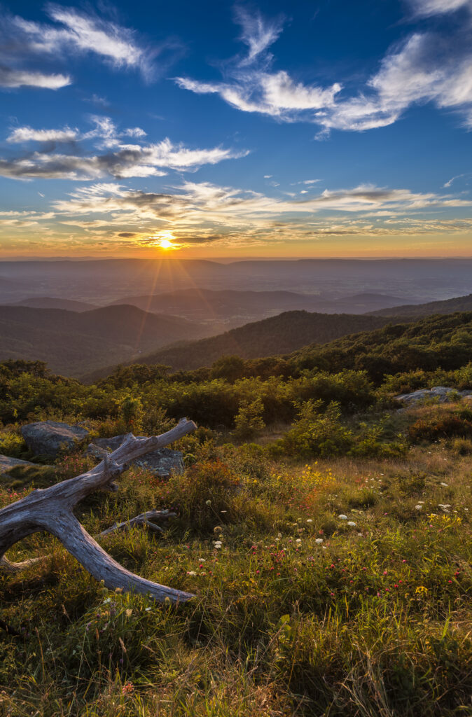 Breathtaking sunset over rolling mountains with golden light lush greenery and wildflowers wallpaper