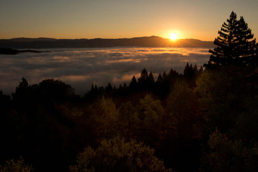 Serene sunset over rolling mountains with golden light dense trees and clouds at dusk wallpaper