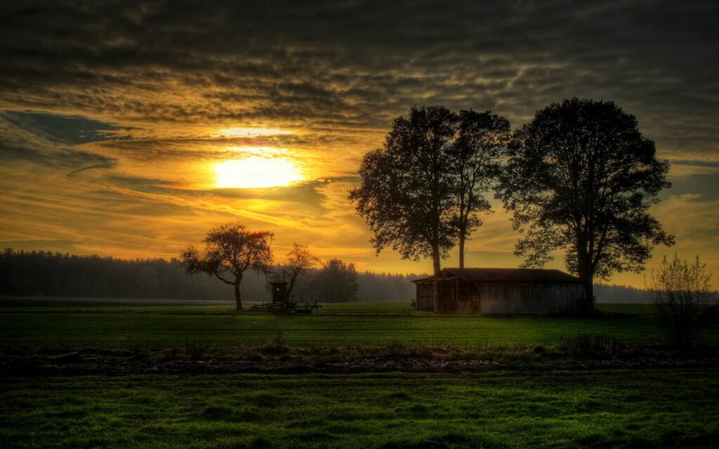 Sunset over rustic stable and green field with tall trees casting long shadows golden sky Wallpaper