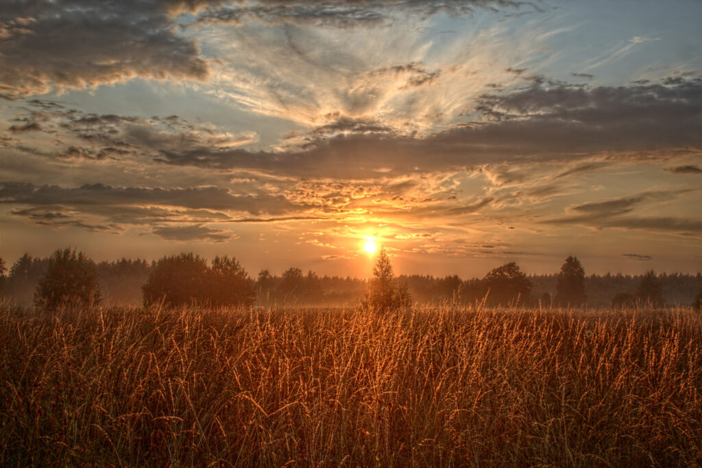 Sunset over serene field with golden tall grasses and sun rays through scattered clouds wallpaper