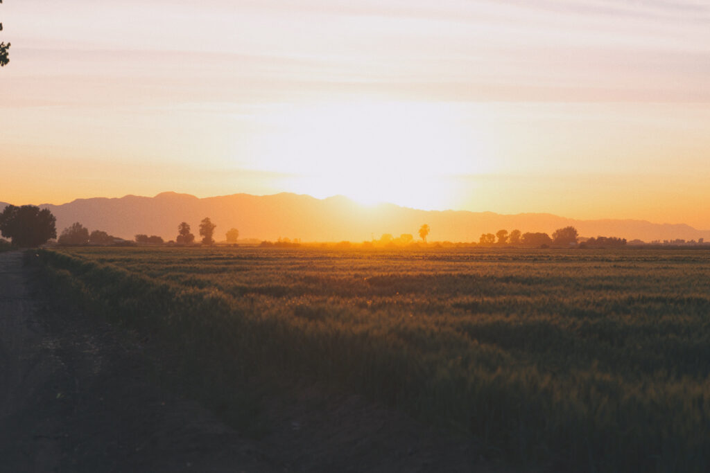 Sunset over grassy field with distant mountains glowing orange and yellow serene countryside view Wallpaper