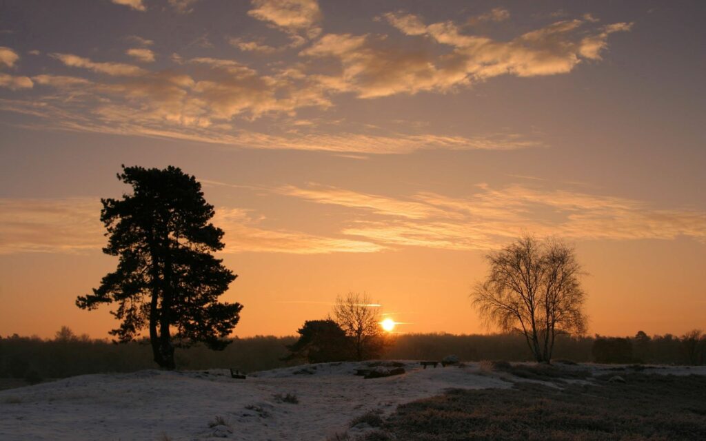 Golden sunset over snowy field with trees and soft clouds serene peaceful landscape wallpaper