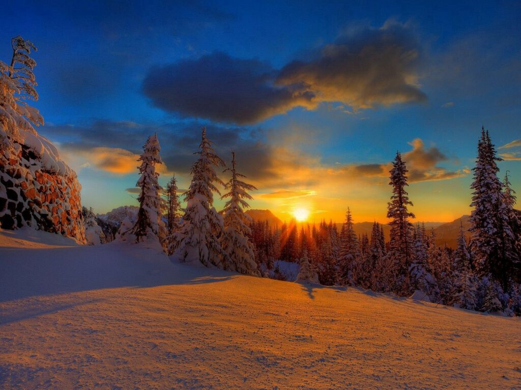 Winter forest sunset with snow-covered fir trees glowing under vibrant orange and blue sky Wallpaper