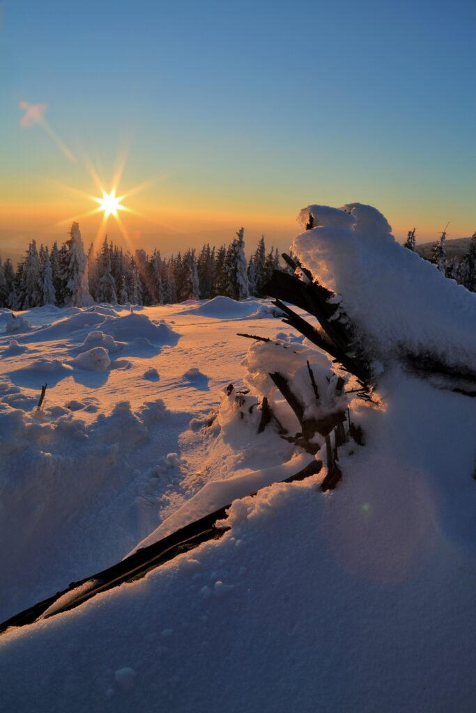 Winter landscape wallpaper with snow drifts frosty trees and golden sunset light serene forest