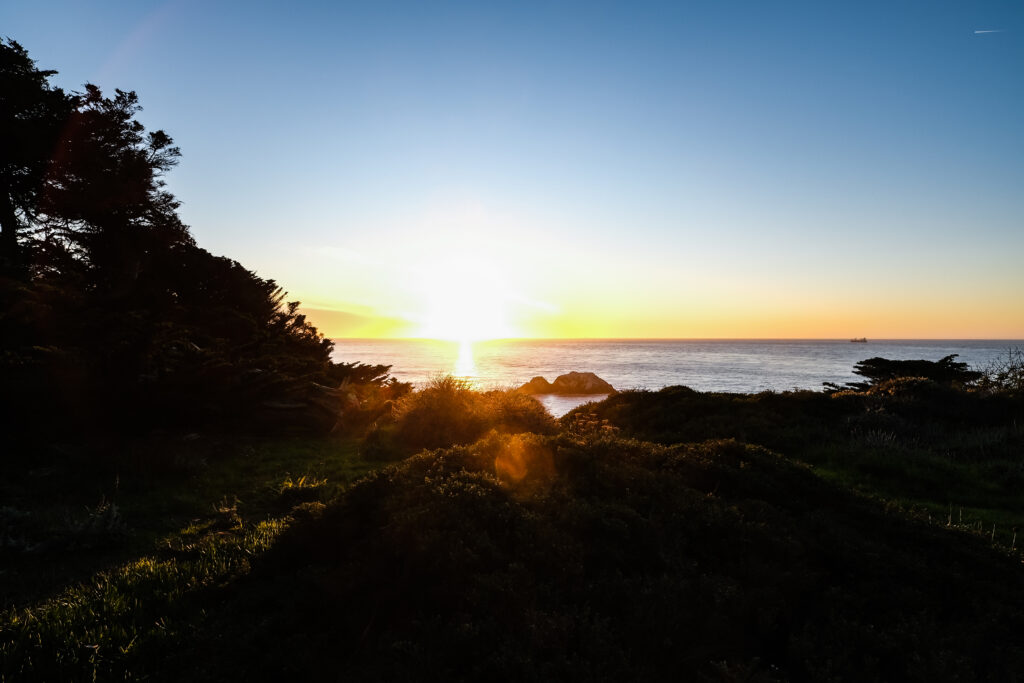 Radiant sunset over calm sea with silhouetted trees and rocks creating a serene coastal view Wallpaper