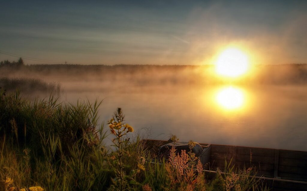 Golden sunset over calm coast with boat and green vegetation reflecting on peaceful water Wallpaper