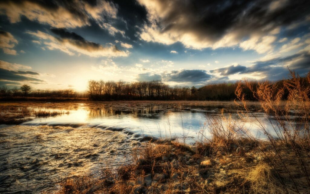 Sunset over tranquil river with golden reflections bare trees dry grass serene landscape wallpaper