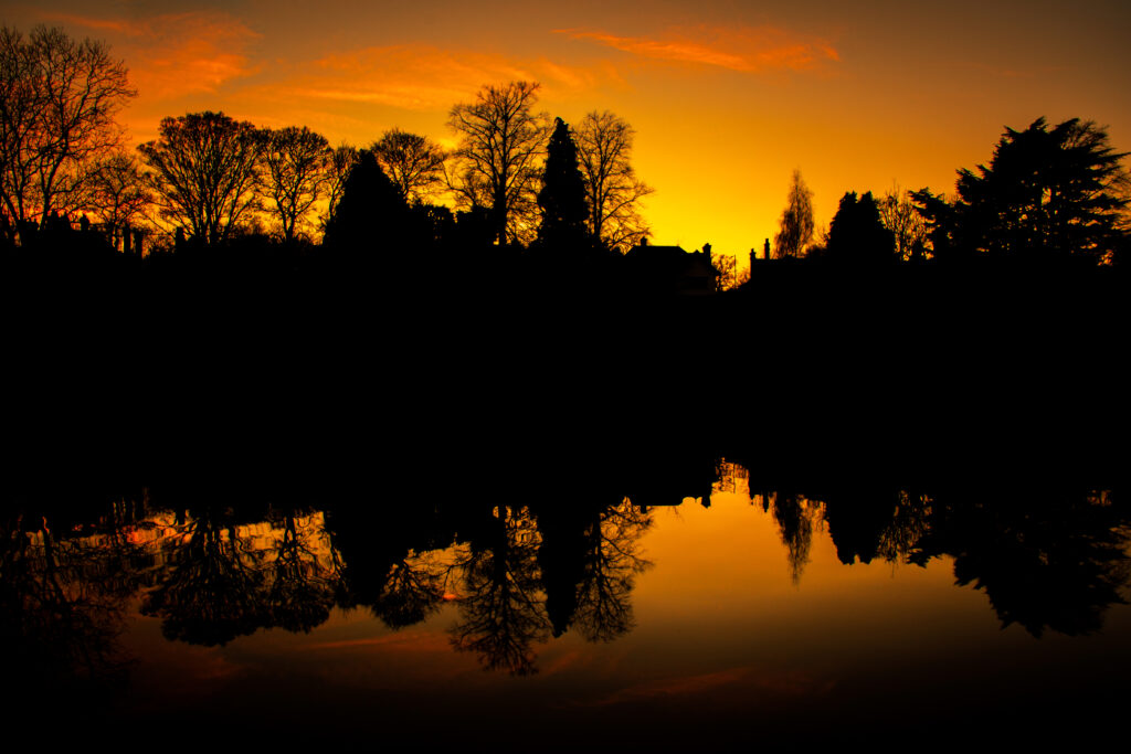 Sunset wallpaper with vivid orange gold sky silhouetted trees reflected on calm water serene landscape