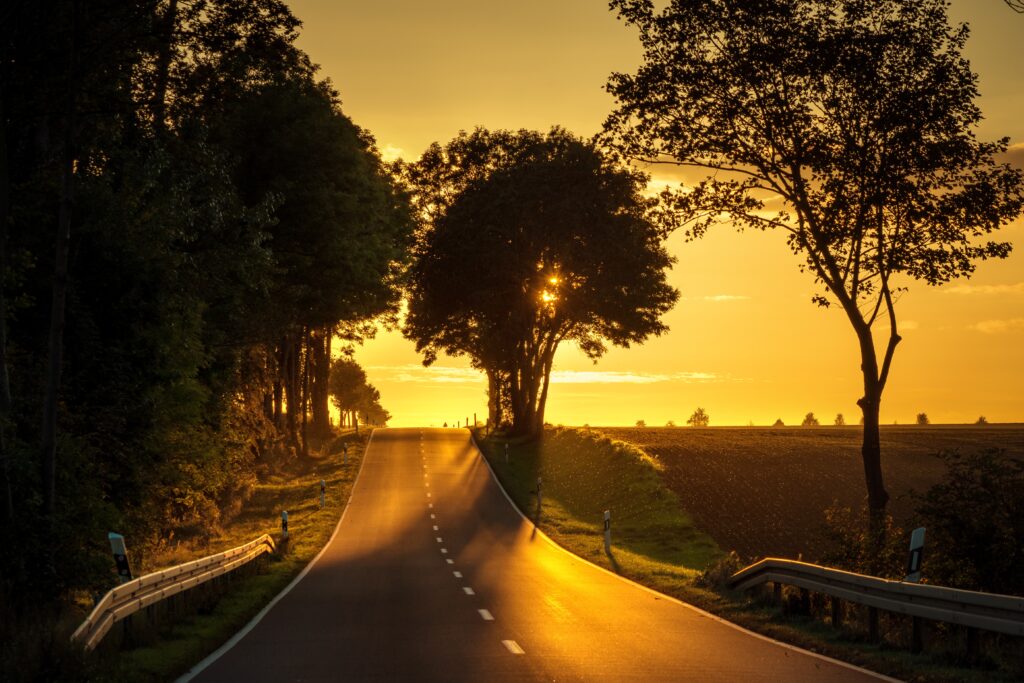 Winding uphill road surrounded by lush trees at sunset serene natural landscape wallpaper background