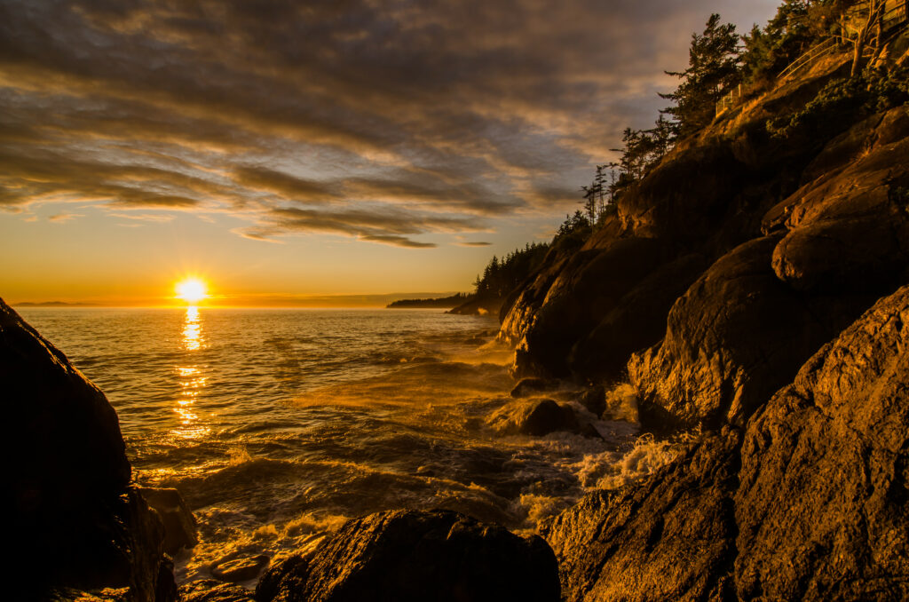 Sunset seascape wallpaper with golden light waves rugged coastline and silhouetted trees
