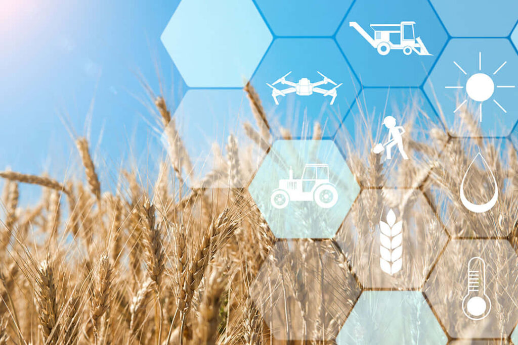 Golden wheat field with hexagonal icons of drones tractors weather irrigation technology Wallpaper