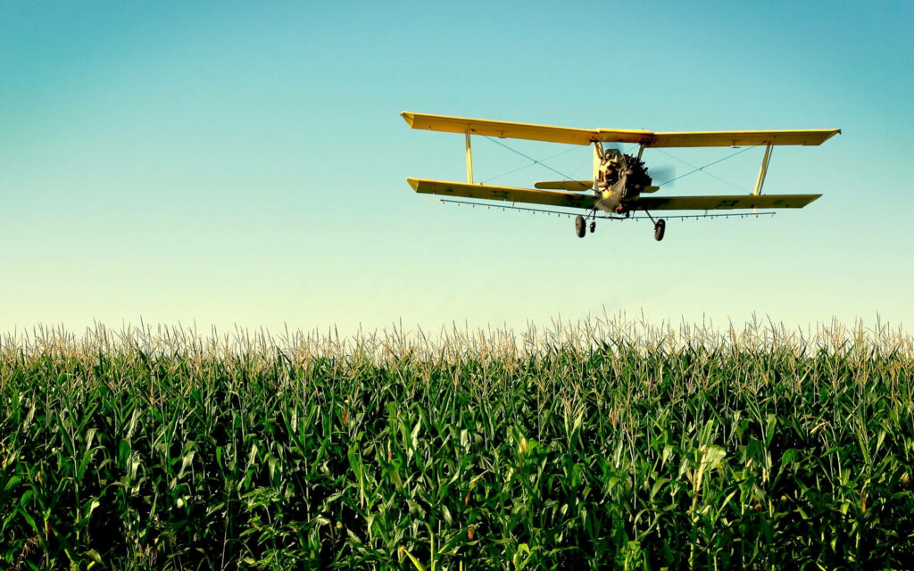 Golden Wings Soaring Above Lush Green Farmland in Bright Daylight: Stunning HD Plane Background Image Wallpaper