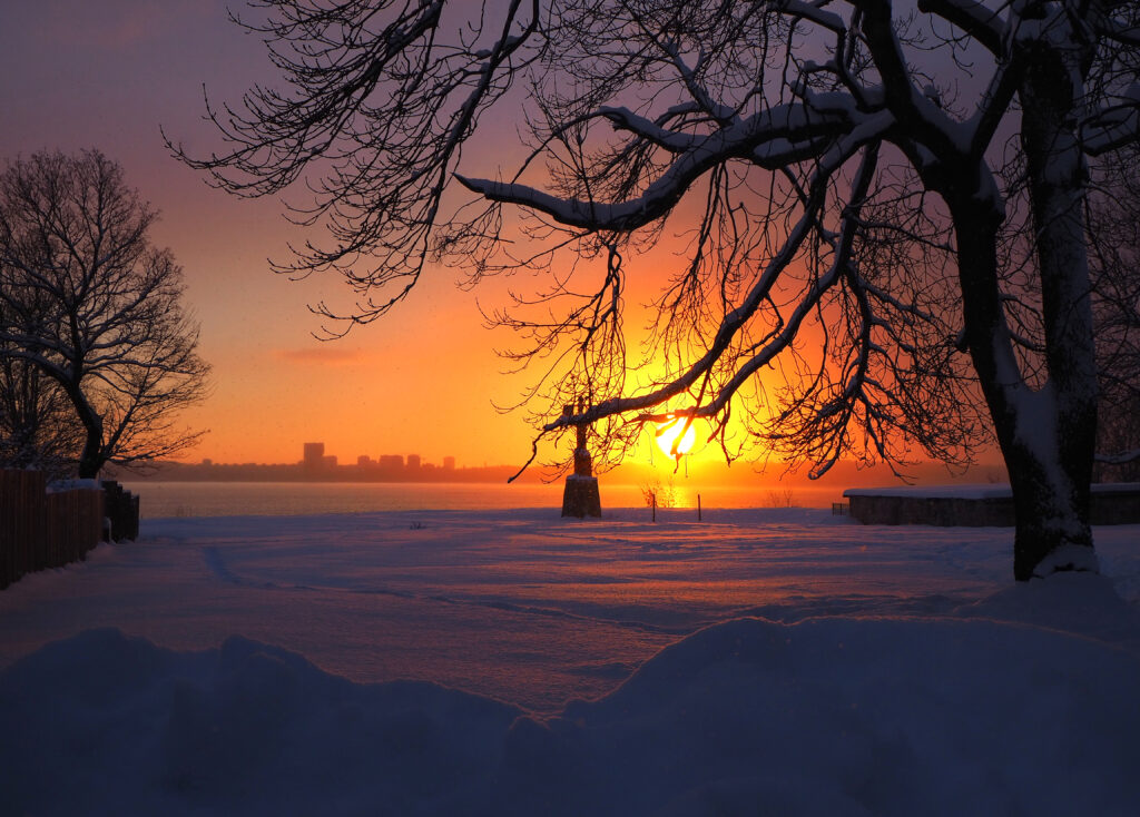 Golden sunset over snow-covered trees casting warm light and soft shadows on winter landscape Wallpaper