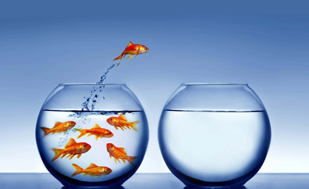 Goldfish swimming in glass bowl with one fish leaping toward empty water bowl on blue background Wallpaper
