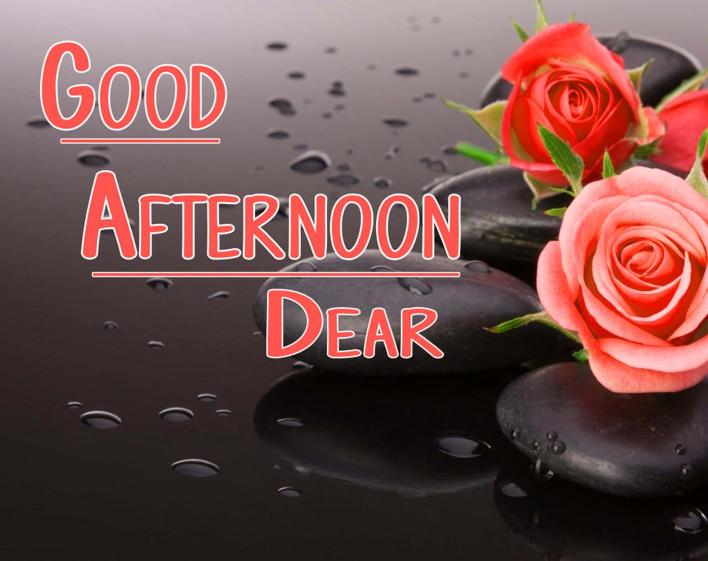 Good Afternoon Dear wallpaper with vibrant red pink roses on black spa stones dark reflective surface