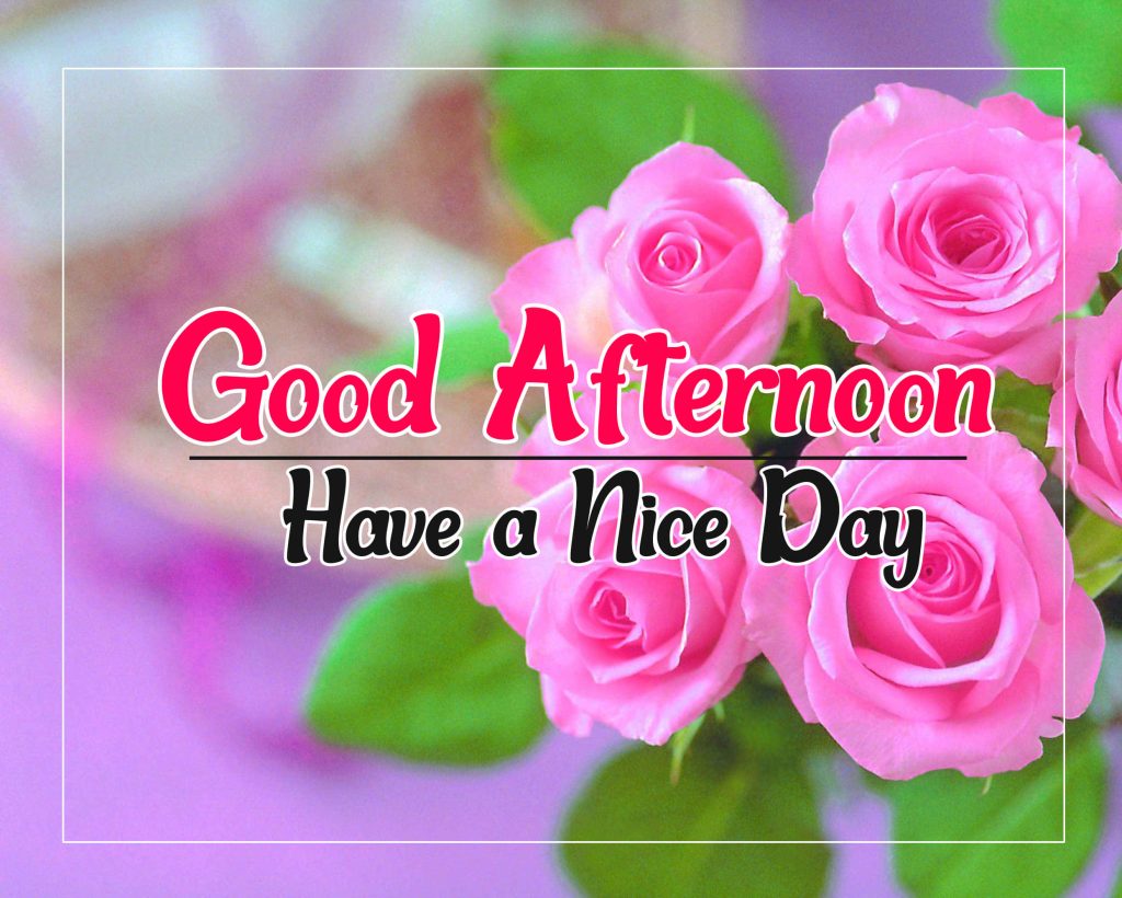 Bright pink roses on purple background with Good Afternoon Have a Nice Day text wallpaper