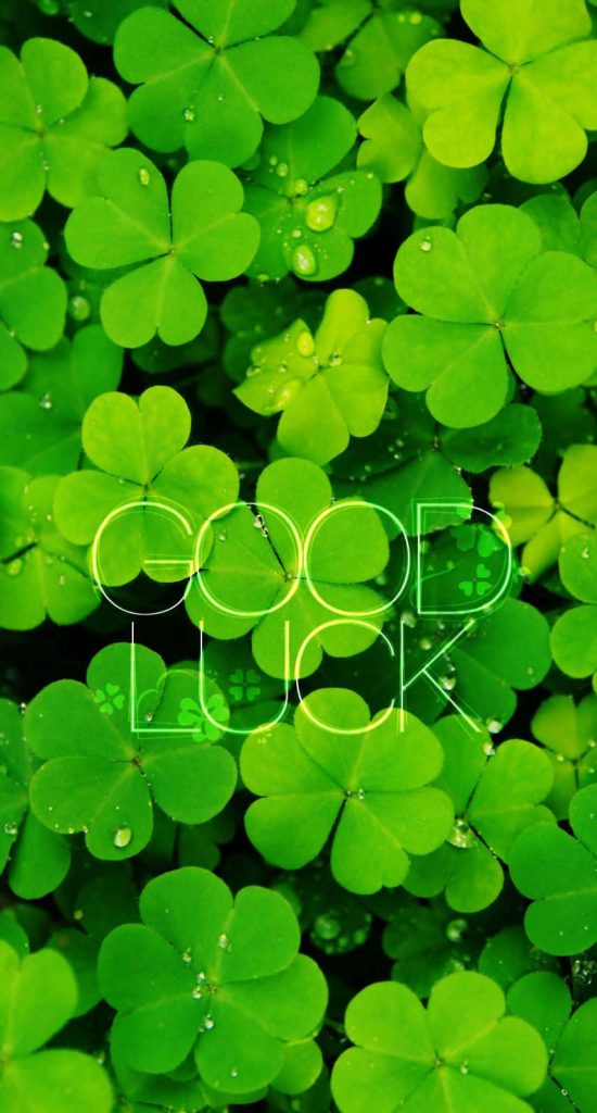 Green clover wallpaper with glowing good luck text and dew-kissed shamrock background