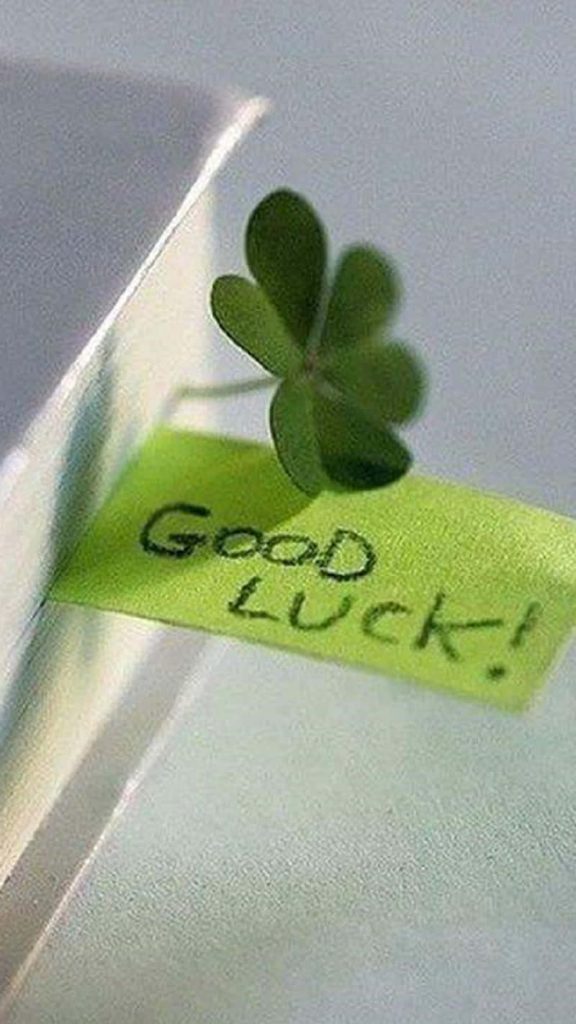 Close-up of four-leaf clover on green good luck note with soft light minimalist metallic background Wallpaper