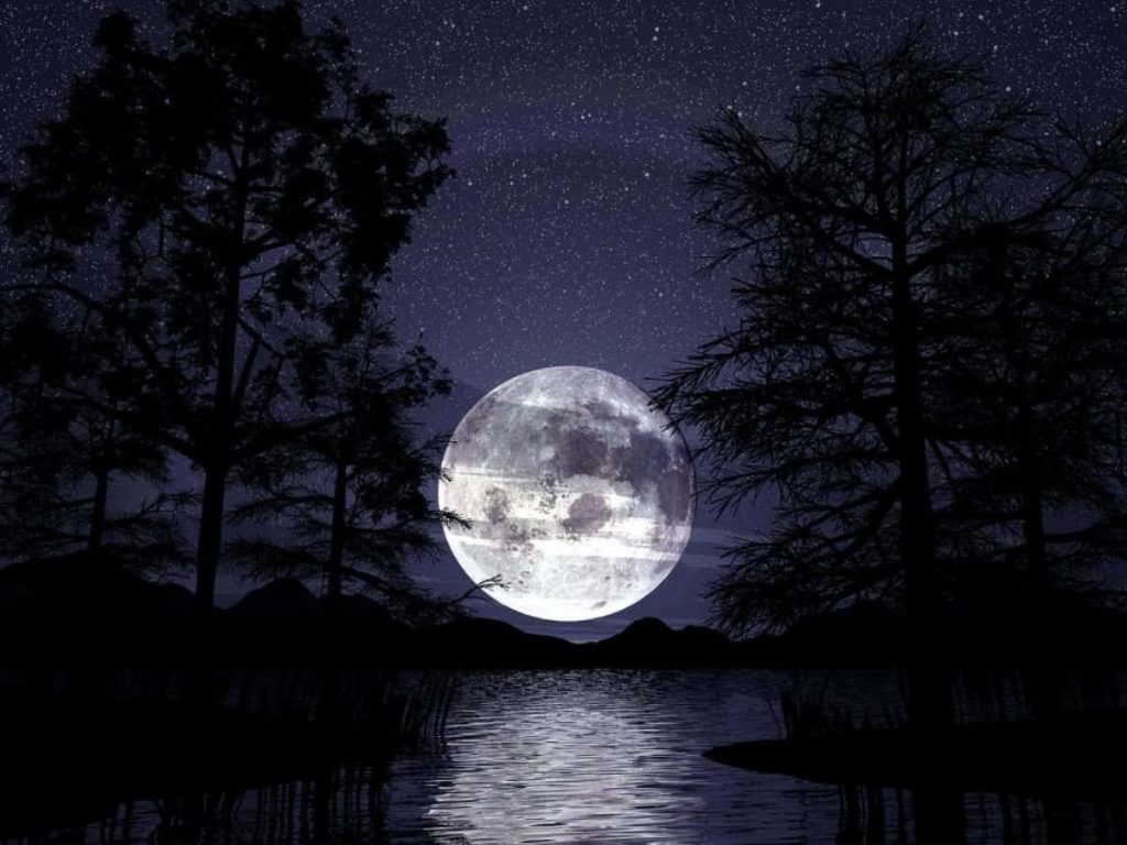 Gothic wallpaper with full moon, silhouetted forest, starry night sky, and calm reflective water