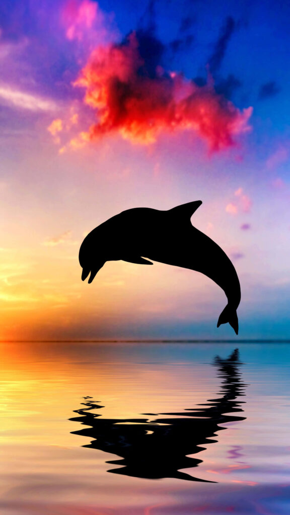 Silhouette of dolphin leaping over calm water with vibrant sunset sky and perfect reflection Wallpaper