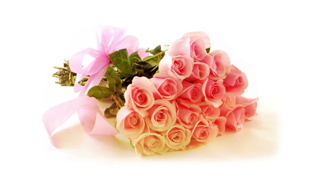 A Delicate Bouquet of Gradient Pink Roses Adorned with a Pretty Pink Ribbon, Captured on a Pure White Background Wallpaper