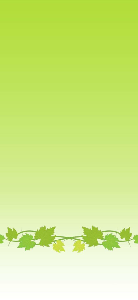 Refreshing Green Gradient Wallpaper with Leafy Vine Design