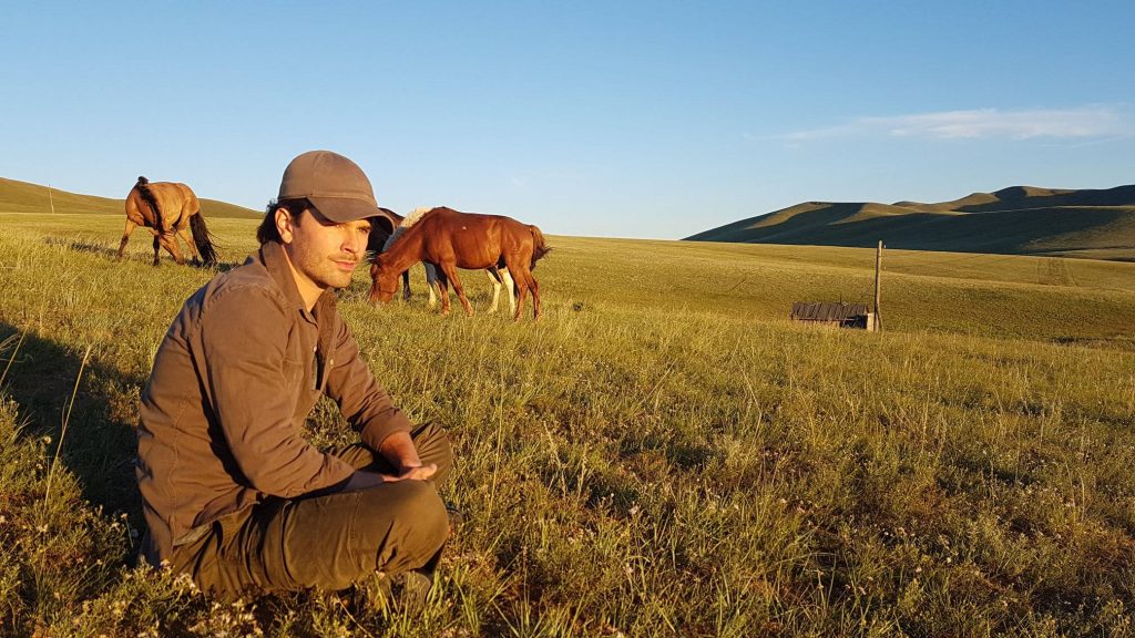 Graham Wardle in sunlit field with grazing horses rolling hills serene pastoral wallpaper background