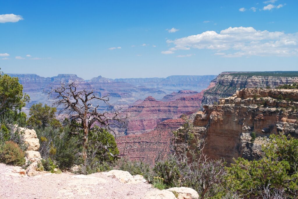 Grand Canyon wallpaper showing layered red cliffs and rugged rock formations under blue sky