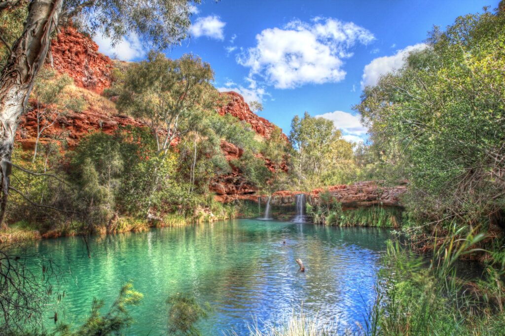 Grand Teton landscape with clear river lush greenery red rocks and bright blue sky HDR wallpaper