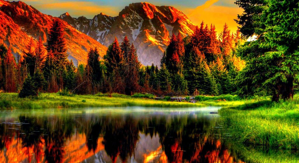 Grand Teton mountains at golden hour reflecting vibrant forest and fiery peaks in still lake Wallpaper