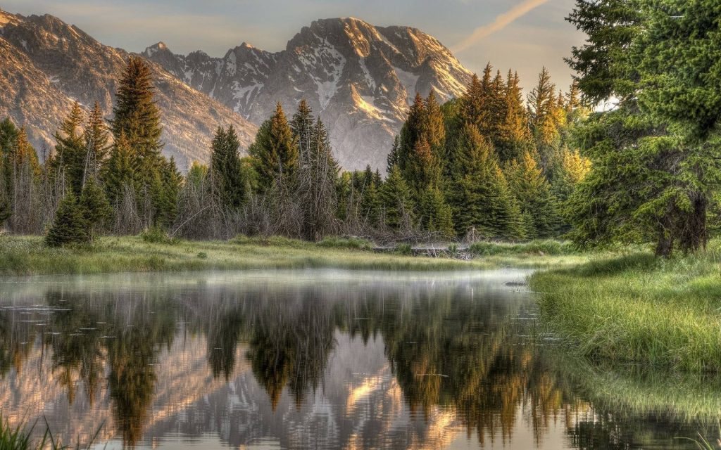 Snow-capped Grand Teton mountains reflected in calm river with pine forest and morning mist Wallpaper