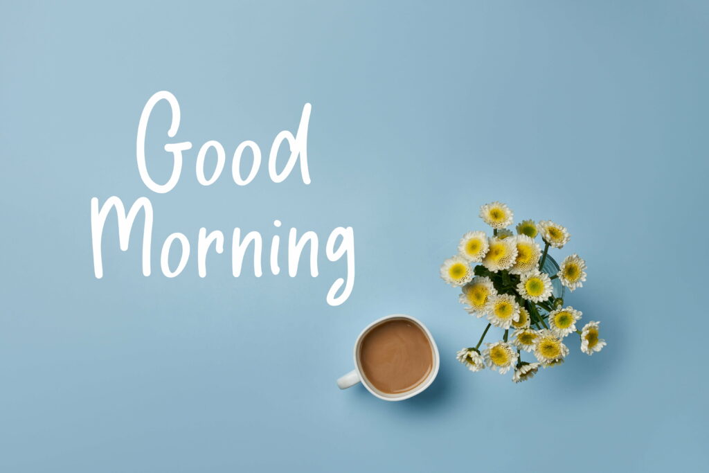 Ethereal Still Life: A Captivating Morning in 5K Wallpaper