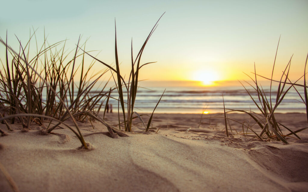 Sun-drenched paradise: Capturing a 4K Ultra HD Beach Background Wallpaper