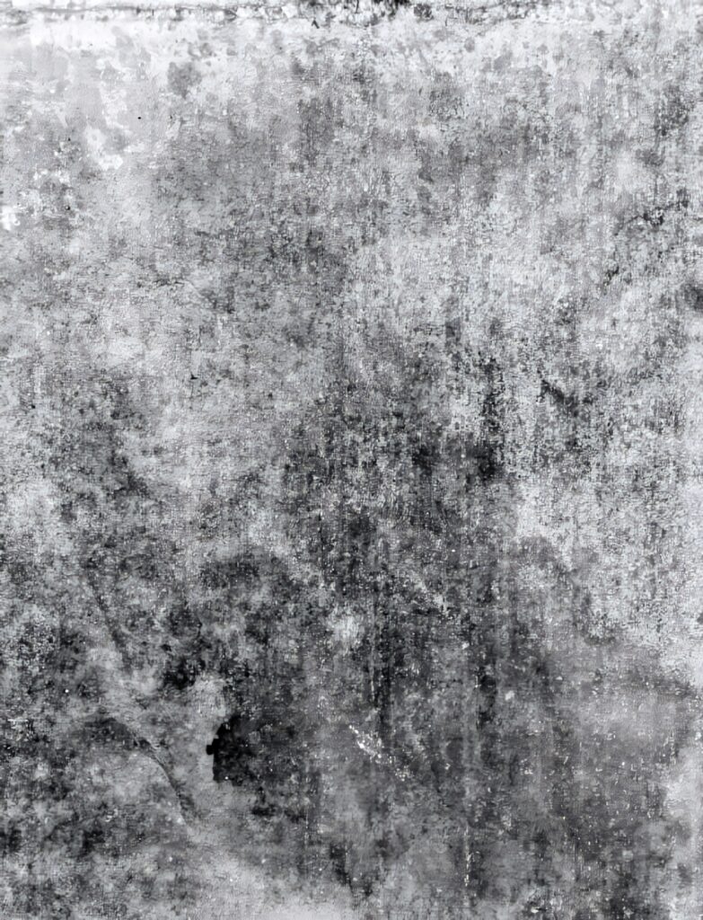 Rough Grayscale Cement Texture - Weathered Patterns for Design Use Wallpaper